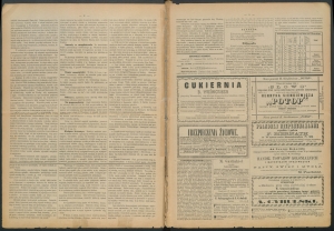 gazeta radomska-1884-22-00002